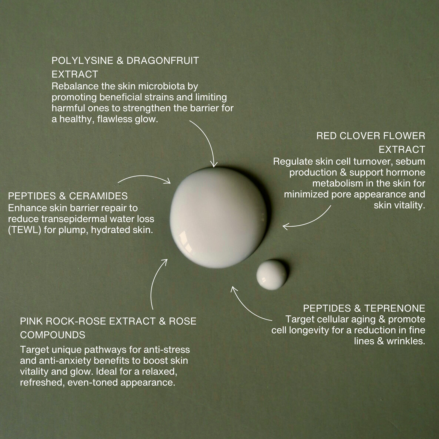 Perfecting Serum